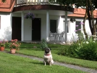 Männi Guesthouse 