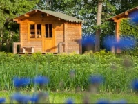 Oja Camping 