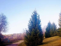Lombi Holiday House 