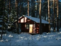 Metskonna Forest House 