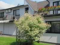 Aisa Guesthouse - Aisa 82 