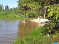 Taevaskoja Salamaa