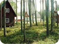Roosi Camping Houses 