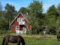 Kooli Kopli Holiday Homes 