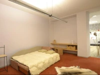 Tobiase Apartment 