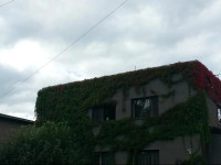 Eha Suija Home Accommodation