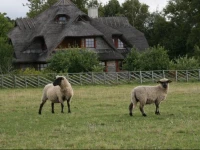 ToomalГµuka Tourist Farm 