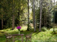 Adami Country Guesthouse 