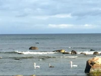 Vainupea Holiday Home 