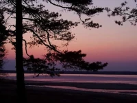 HiirevГ¤nda Holiday House 