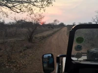 Dzata Private Game Lodge 