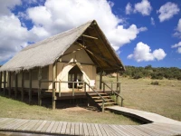 Gorah Elephant Camp 