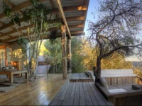 Camp Figtree 