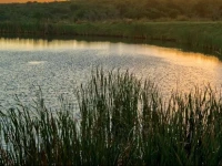 Kichaka Luxury Game Lodge 
