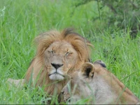 Amukela Game Lodge 