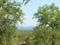 Masodini Game Lodge 