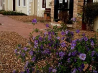 Bread and Barrel Guesthouse Bellville 