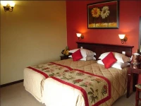 Sandford Park Country Hotel 3*