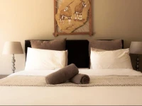 African Footprints and Conferences 