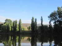 Bonnievale River Lodge 
