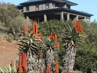 Stonehill River Lodge 