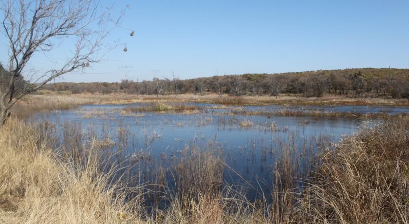 Matalatala Wildlife Lodge 