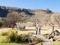 Camelroc Guest Farm 