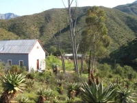 The Old School House 