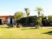 Island Vibe Jeffreys Bay 