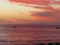The Whale Cove 