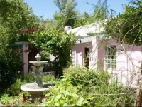 The Pinkpaleis 