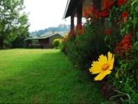 Chillifields Guesthouse 