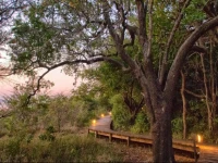 Nibela Lake Lodge 