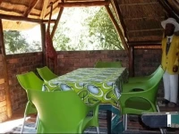 Green Living 