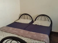 Rosebank Lodge and Backpacker 