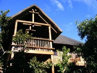Amafu Forest Lodge 
