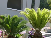 Montavigus Bed & Breakfast 