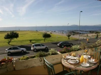 Dolphin Inn Guesthouse 