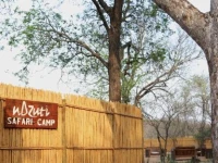 nDzuti Safari Camp 