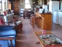 Wegkruip 