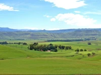 Fairbairn Guest Farm 