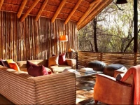 Jacis Tree & Safari Lodges 