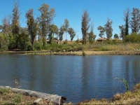 Bernallys Fishing Lodge 