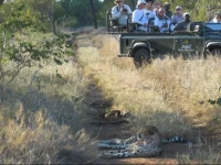 Makalali Private Game Lodge 