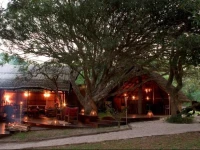 Kosi Forest Lodge 