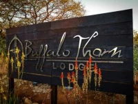 Buffalo Thorn Lodge 
