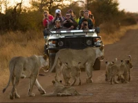 Rhulani Safari Lodge 