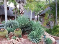 Siesta Guest House 