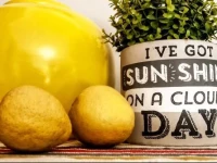 Vintage Charm Guesthouse 