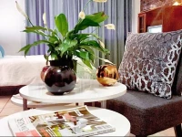 Midrand Guesthouse - TASA 